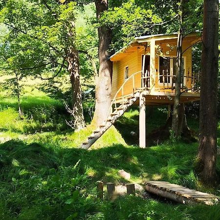 Treehouse Lea Διαμέρισμα Mikulášovice Εξωτερικό φωτογραφία