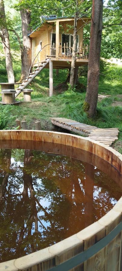 Treehouse Lea Διαμέρισμα Mikulášovice Εξωτερικό φωτογραφία